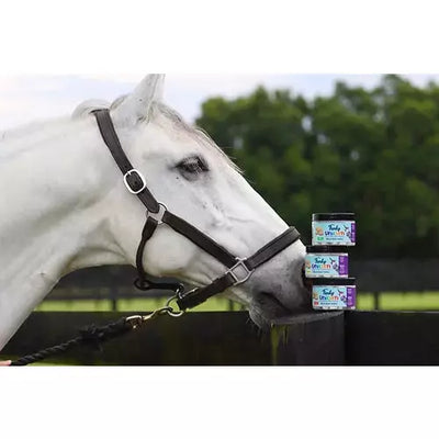 Funky Unicorn Treats - 8oz - Apple