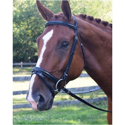 Black Oak Juniper Bridle