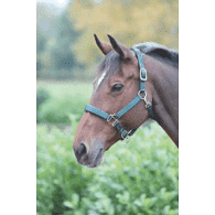 Shires "Topaz" Nylon Halter - Dark Green - Full Size