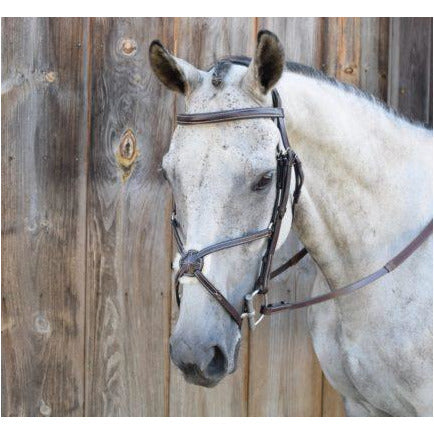 Black Oak Cedar Bridle