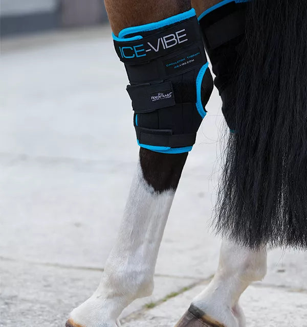 Horseware Ice Vibe Hock Wrap