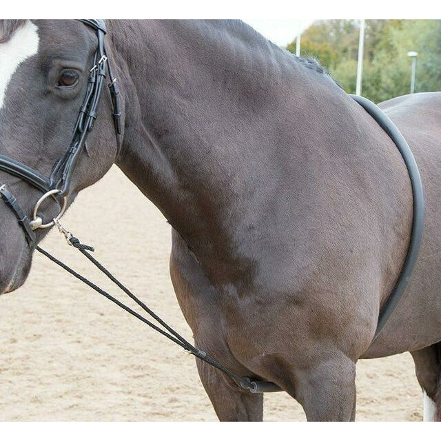 Shires Soft Lunging Aid