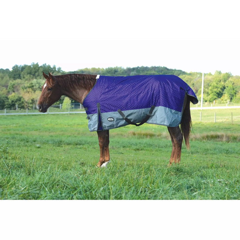 Weaver Premium Turnout 300g Blanket - Purple/Grey