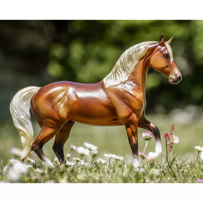 Breyer Silver Bay Morab