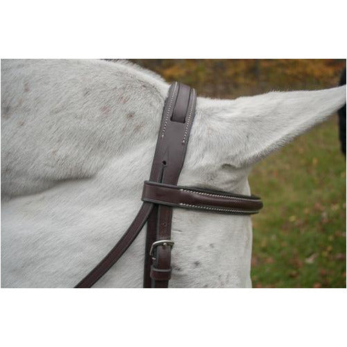 Black Oak Aster Bridle