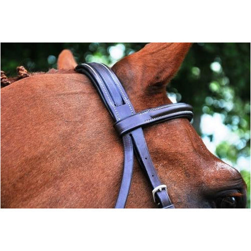 Black Oak Aster Bridle